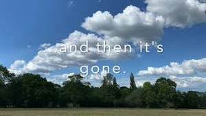 … and then it's gone.