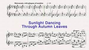 Sunlight Dancing Through Autumn Leaves