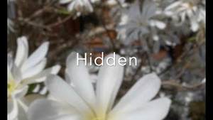 Hidden